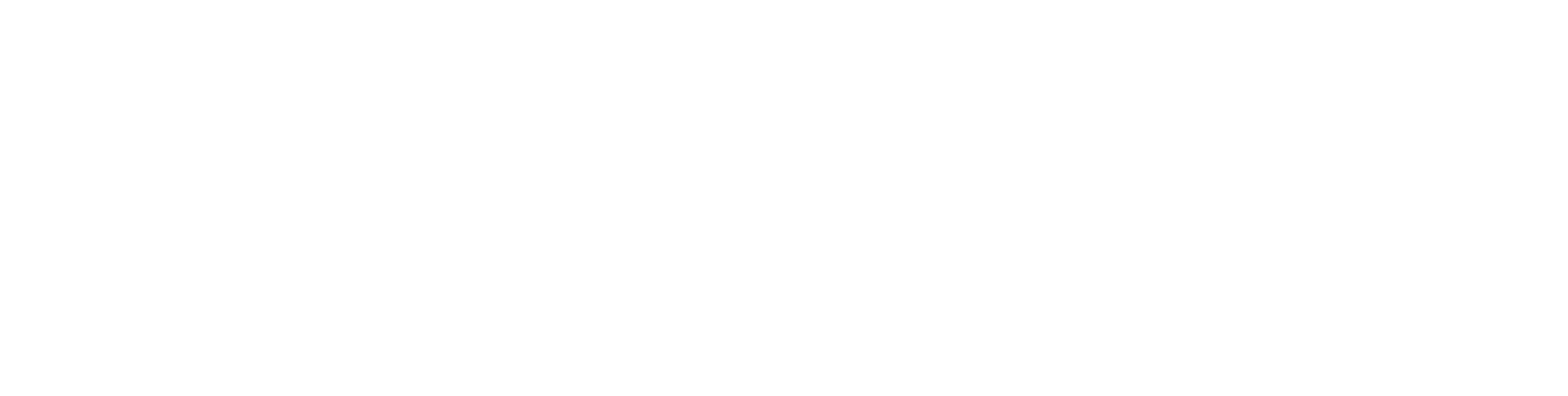 Technoprobe